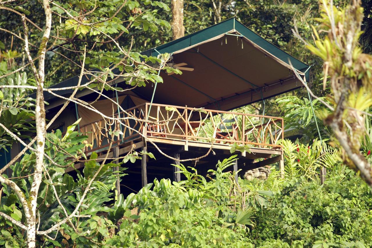 Rafiki Safari Lodge Savegre Номер фото